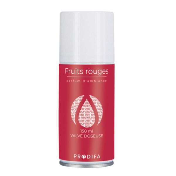 COLIS 12 AEROSOLS 150ML FRUITS ROUGES