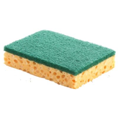 LOT 10 EPONGES VEGETALES RECURANT VERT (110 X 70 X 25mm)