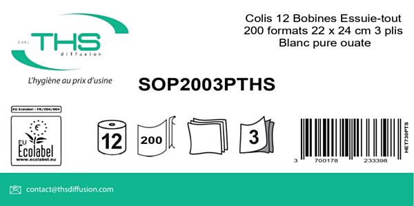 COLIS 12 BOBINES ESSUIE TOUT 200 FORMATS 22 X 24 CM 3X 17 GR BLANC PURE OUATE